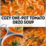 A bowl of creamy tomato orzo soup garnished with herbs showcasing Mediterranean orzo soup style.